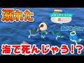 【あつ森】海で溺れる事件発生したww【あつまれどうぶつの森】【ぱぐ】