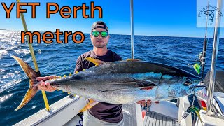 How we catch EPIC PERTH METRO YELLOWFIN TUNA | Fishing Western Australia | Pelagic action screenshot 3