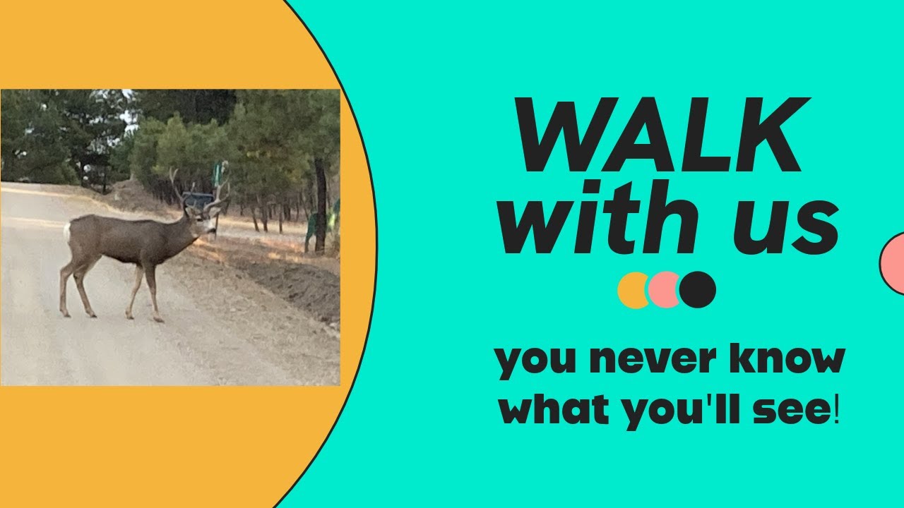 Walk with us you never know what you'll see