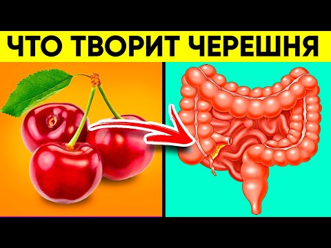 ВОТ ЧТО ТВОРИТ ЧЕРЕШНЯ! (Реальная Польза и Вред Черешни)