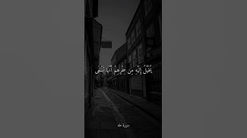 قُلْنَا لَا تَخَفْ إِنَّكَ أَنتَ الْأَعْلَى || القارئ شريف مصطفى 🍀🎧