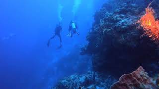 Diving DEVILS THROAT COZUMEL!! How deep did we get digested??