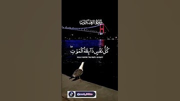 تلاوة خاشعة بصوت #عبدالرحمن_مسعد #سورة_العنكبوت #كل_نفس_ذائقة_الموت #حالات #قرآن #تلاوة_خاشعة