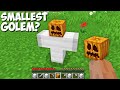 What HAPPENS if you SPAWN the SMALLEST GOLEM in Minecraft ? TINY GOLEM !