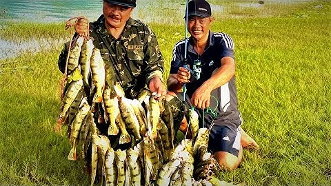 HOÀNG ĐẾ THÁC BÀ - ĐI CÂU PHẢI GÁNH LÀ CÓ THẬT