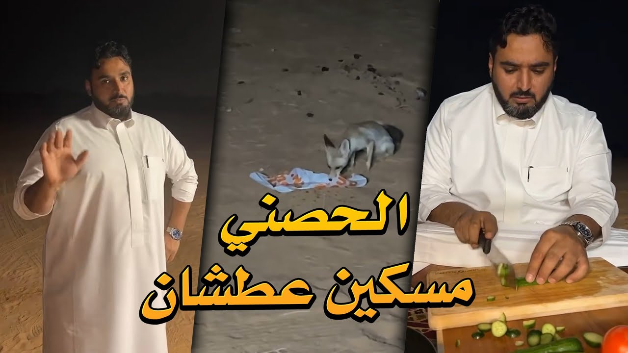 جانا حصني وحنا كاشتين بالغضا 😥