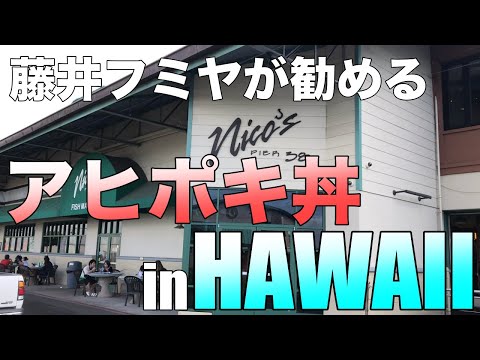 【飯テロ】木梨目線であの藤井フミヤが紹介したニコスピア38でアヒポキ丼食べてみた