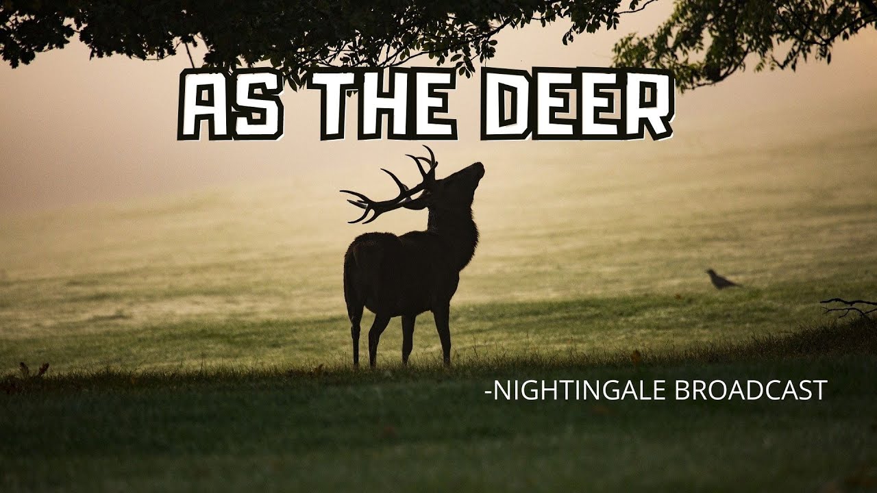 AS THE DEER KARAOKE YouTube