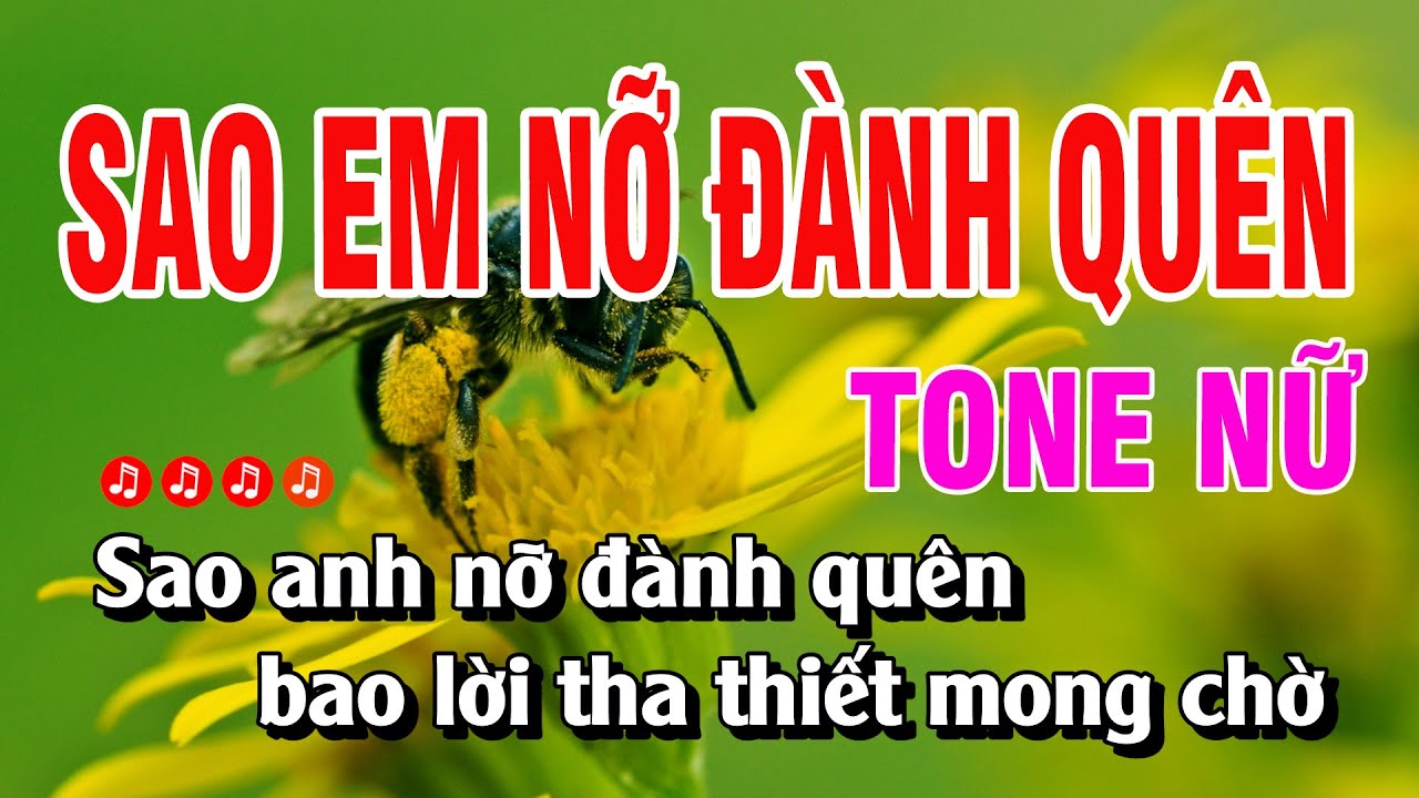 Karaoke Sao Em Nỡ Đành Quên Tone Nữ Nhạc Sống Dễ Hát | Duy Chiến