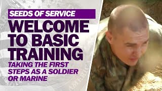 Welcome to Basic Training