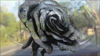 Roison Dubh (The Black Rose) A Rock Legend - Thin Lizzy Cover
