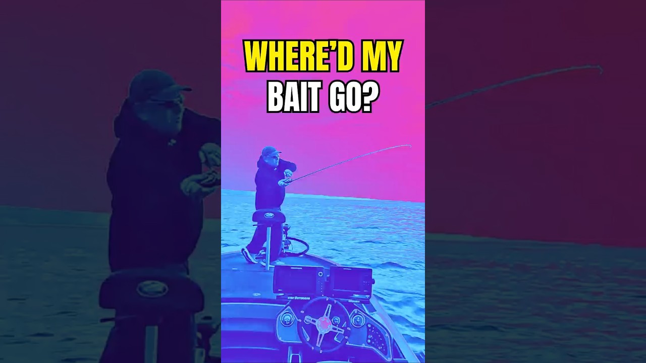 LiveScope Didn’t Mess Up… I Did.