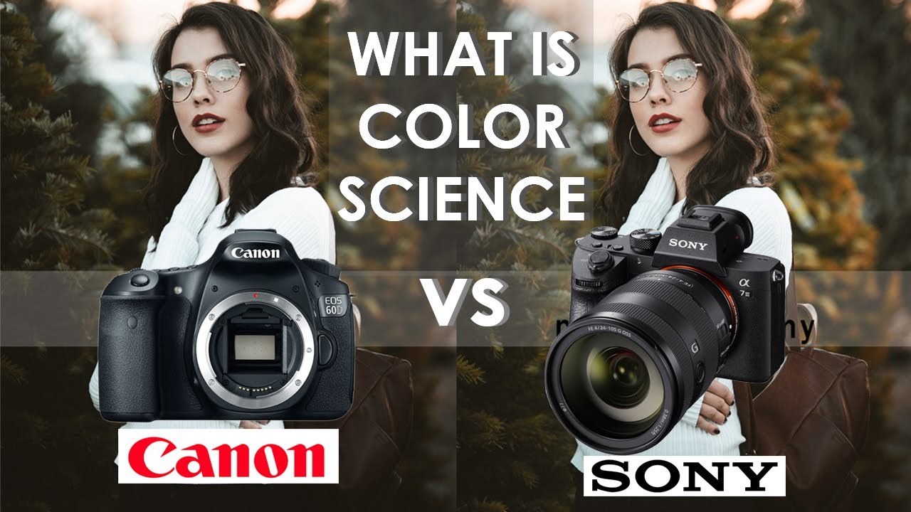 Sony canon сравнение. Canon vs Sony. Red Canon Sony. Canon vs Sony мемы. Палитра Кэнон.