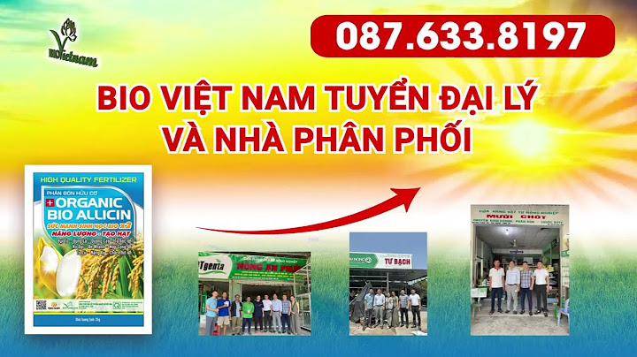 Mùi từ sản xuất p hân bón là gì năm 2024