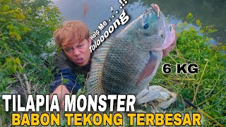 Ya Tuhan...!! Rejeki Tilapia Monster Babon Nila Tekong Terbesar