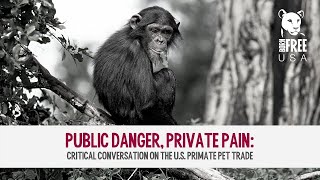 Public Danger, Private Pain: A Critical Conversation on the U.S. Primate Pet Trade