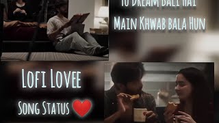 Tu Dream Wali Hai Main Khwab Wala Hun  Lofi Lovee Song Status