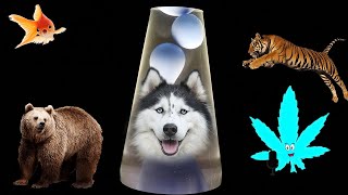 ASMR Highdeas: Quarantine Convos #2(Apocalypse Animal Pack, The Office vs Friends, Would You Rather)