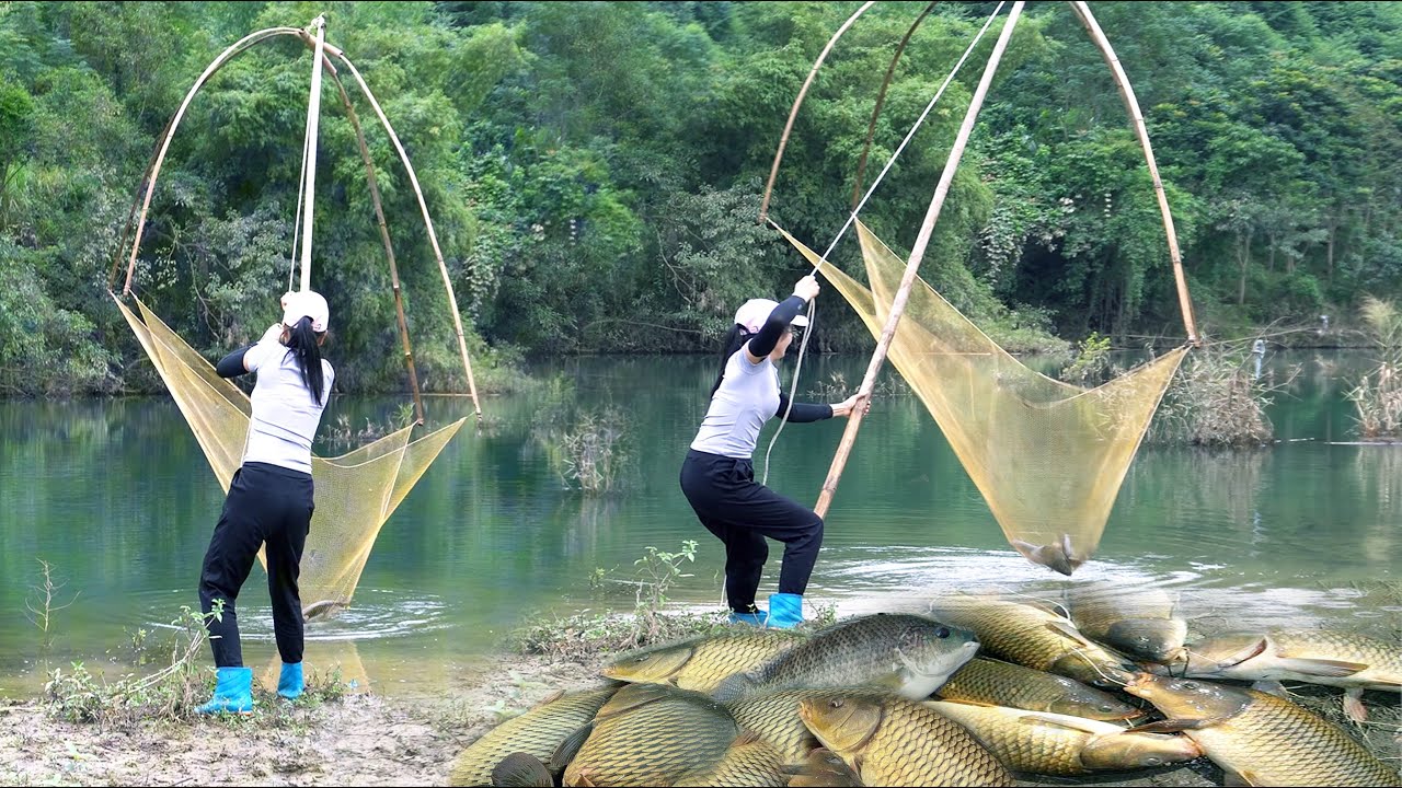 Amazing Cast Net Fishing Skill Catch Giant Fish - Awesome Traditional Net Fishing on The Streams
