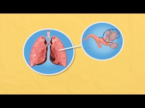 Видео: Осъществява ли се клетъчното дишане?
