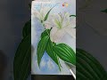 Kiki Zhang draw Lily flower(3)#drawing #lily #flowers #art #watercolor #tutorial #vetranh #hoa