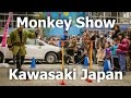 Monkeys show at Kawasaki - Japan