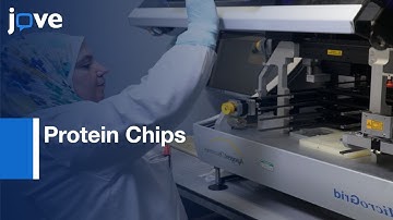 Protein Chips for Antigen-specific Antibody Responses | Protocol Preview