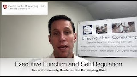 Executive Function and Self Regulation skills. Harvard University, Center of the Developing Child.