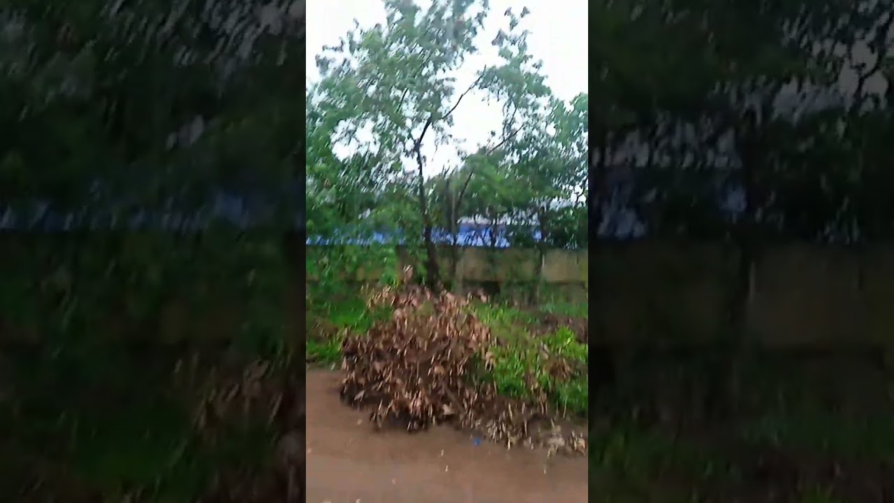 Aluva Heavy Rain Today