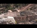 Tom van Steenbergen's Insane Backflip | Third Place Run at Red Bull Rampage 2019