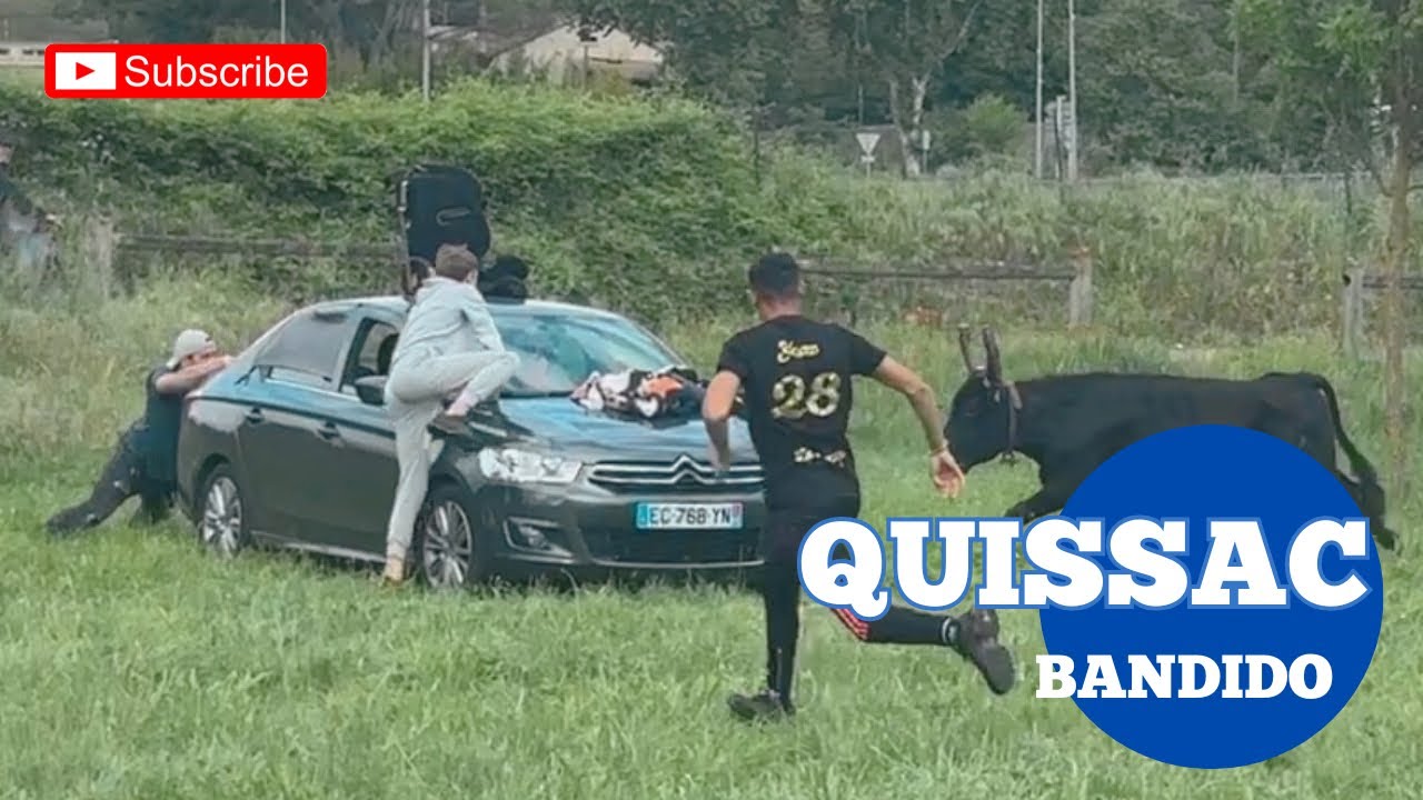 Fête du Campoiral ➡️ Bonne Bandido à Quissac 🇫🇷 08/05/25 Manade TOMMY & LA LAUZE ✅