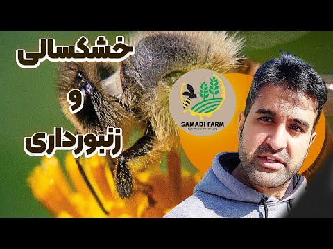 زنگ خطر کم آبی برای زنبور عسل و زنبورداری