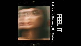 Lukas Van Maanen, Tim Pieters - Feel It
