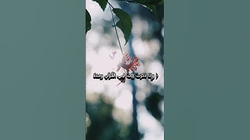 سورة الإسراء بصوت القارئ محمد صديق المنشاوي #القرآن #القرآن_الكريم #المنشاوي #القران #القرآن_الكريم