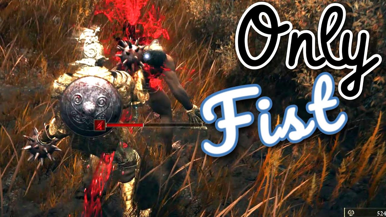 Entering DLC with Only Fist and Zero Scadu Blessings