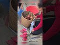 Eps004 Two dogs help the girl carry bamboo shoots and wild bananas to the market to sell # part 2