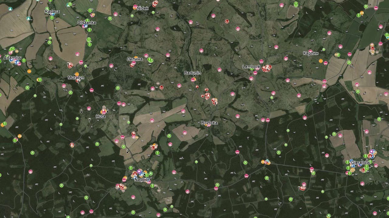 Dayz livonia map. Военные базы в дейз Ливония. Военные базы в DAYZ Livonia. Карта Дейзи Ливония военные базы. Спавн машин в дейз Ливония.