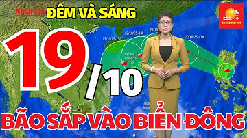 Dự báo thời tiết mới nhất hôm nay và ngày mai 19/10 | Áp thấp nhiệt đới mạnh lên thành bão