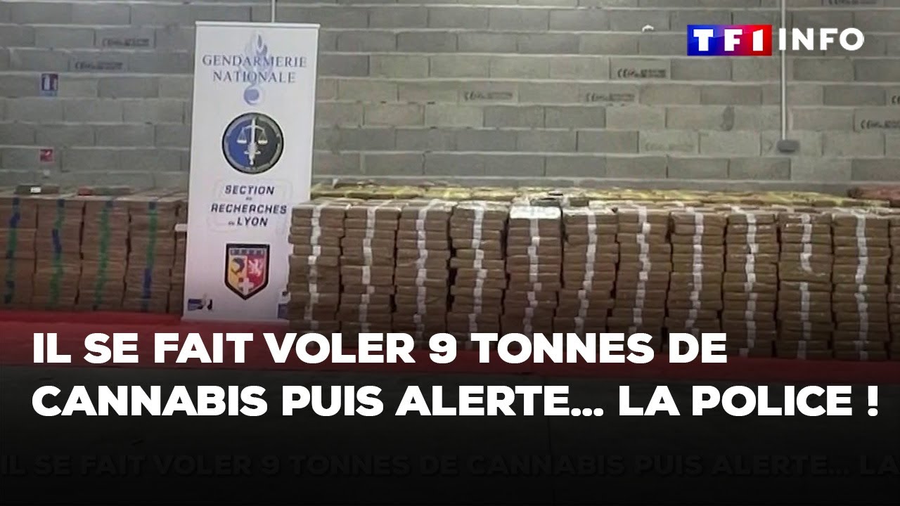 Il se fait voler 9 tonnes de cannabis puis alerte... la police !｜TF1 INFO