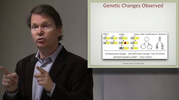 Lecture 26. Adaptive Laboratory Evolution