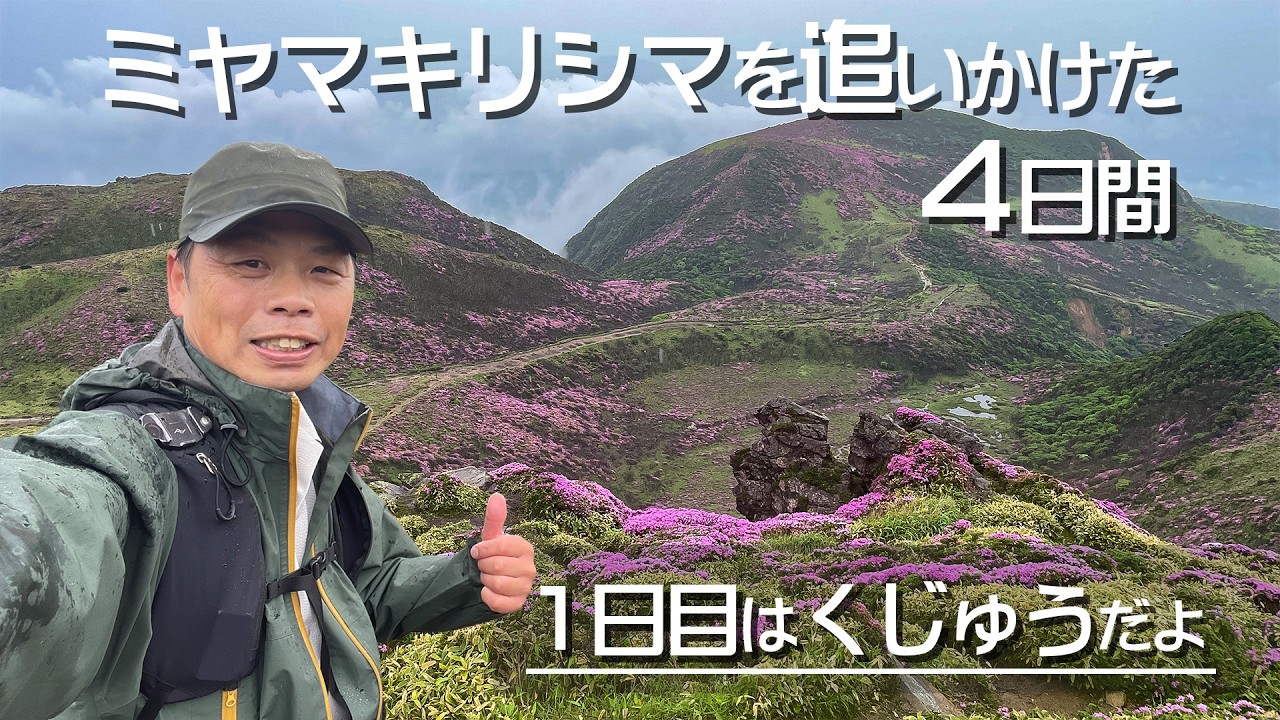 Hiking] The flower fields in the Kuju mountain range are supposed