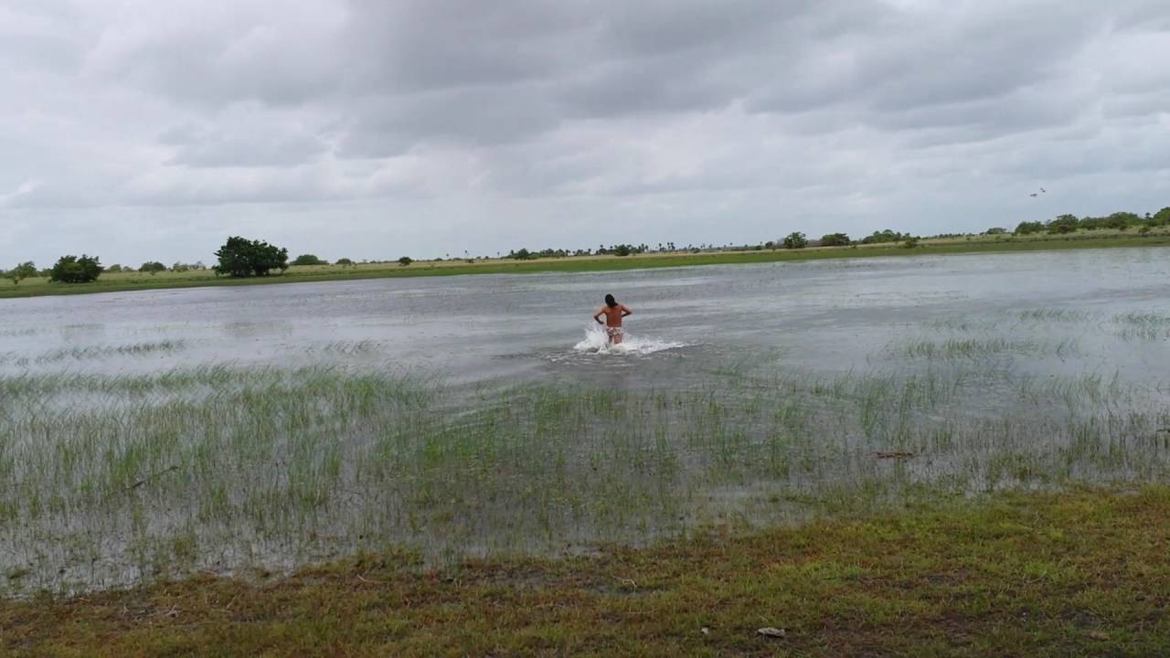 METADE GENTE, 3/4 BICHO