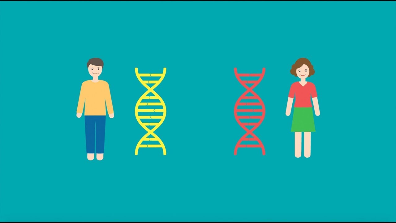Oncology Genetic Counseling And Testing YouTube Oncology genetic counseling and testing youtube