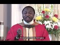 Homily for pentecost sunday year b 2021 by fr emmanuel ochigbo