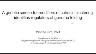 Cohesin clustering을 이용한 새로운 genome folding 조절자 발굴