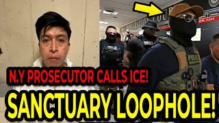 Federal Agents Make Huge Arrest - New York Prosecutor Calls DHS To Help!
