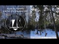 Acorn to Arabella - Journey of a Wooden Boat - Episode 1: Tree Fall