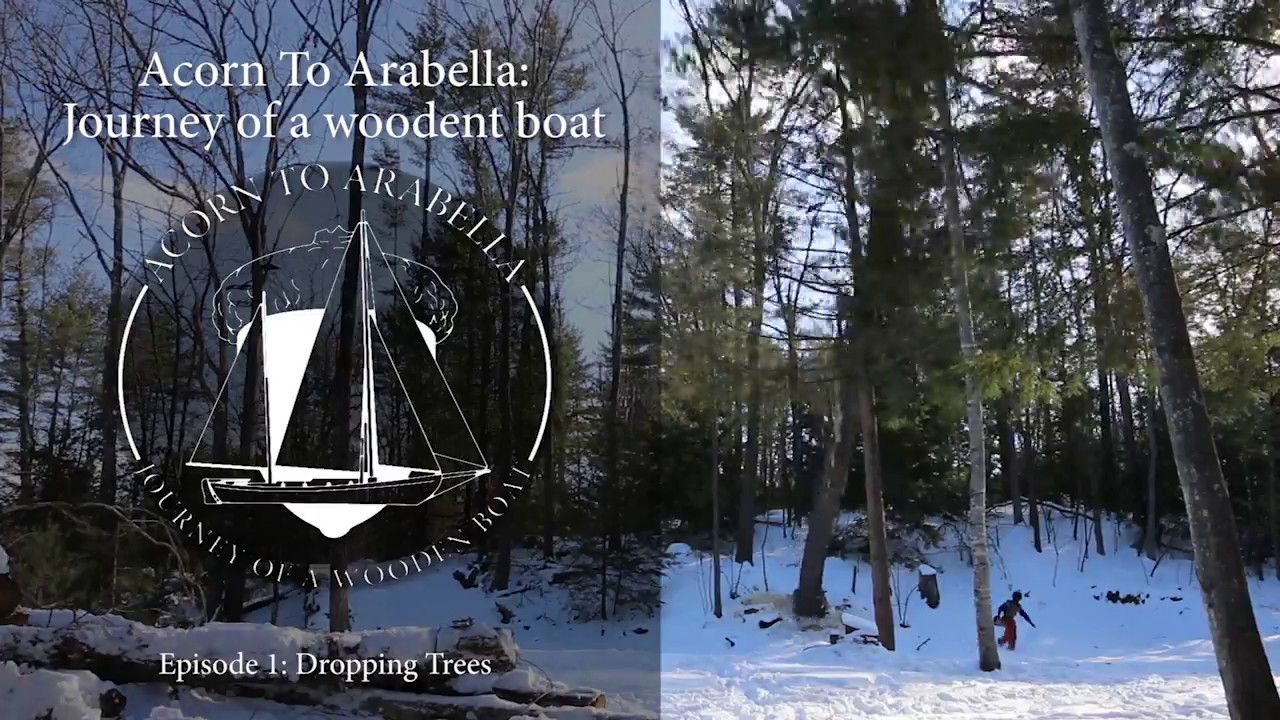 Acorn to Arabella – Journey of a Wooden Boat – Episode 1: Tree Fall