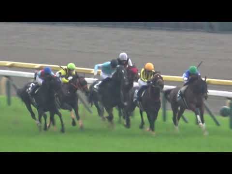 2021 メイステークス ウィニングラン 現地映像 アブレイズ