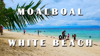 White Beach of MOALBOAL 4K - Top Beach in Cebu | Philippines Travel Guide